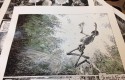 "Monsieur Mardi-Gras Descendres" : planches originales