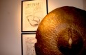Expo Schwartz et Yann - "Le Maître des hosties noires" à la Galerie Mestdagh
